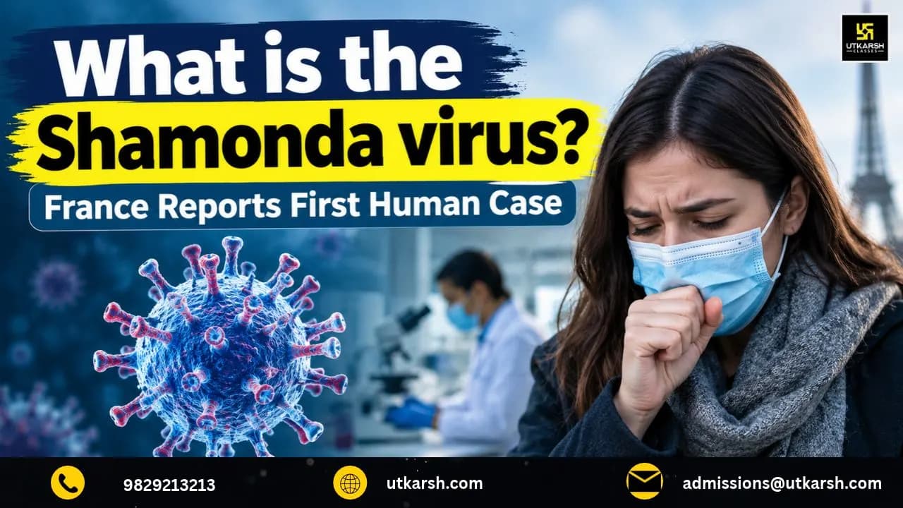 What is the Shamonda virus?: France Reports First Human Case
