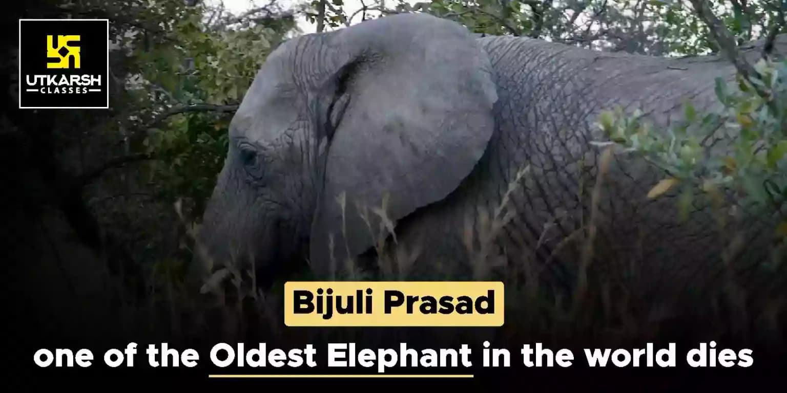 Bijuli Prasad one of the oldest elephant in the world dies