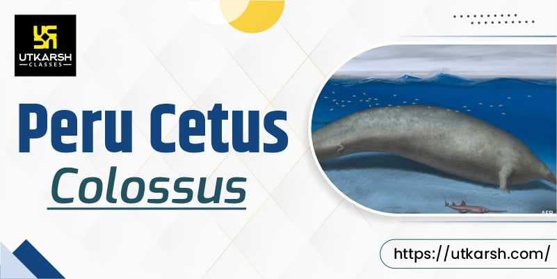 Fossils of Whale Perucetus colossus