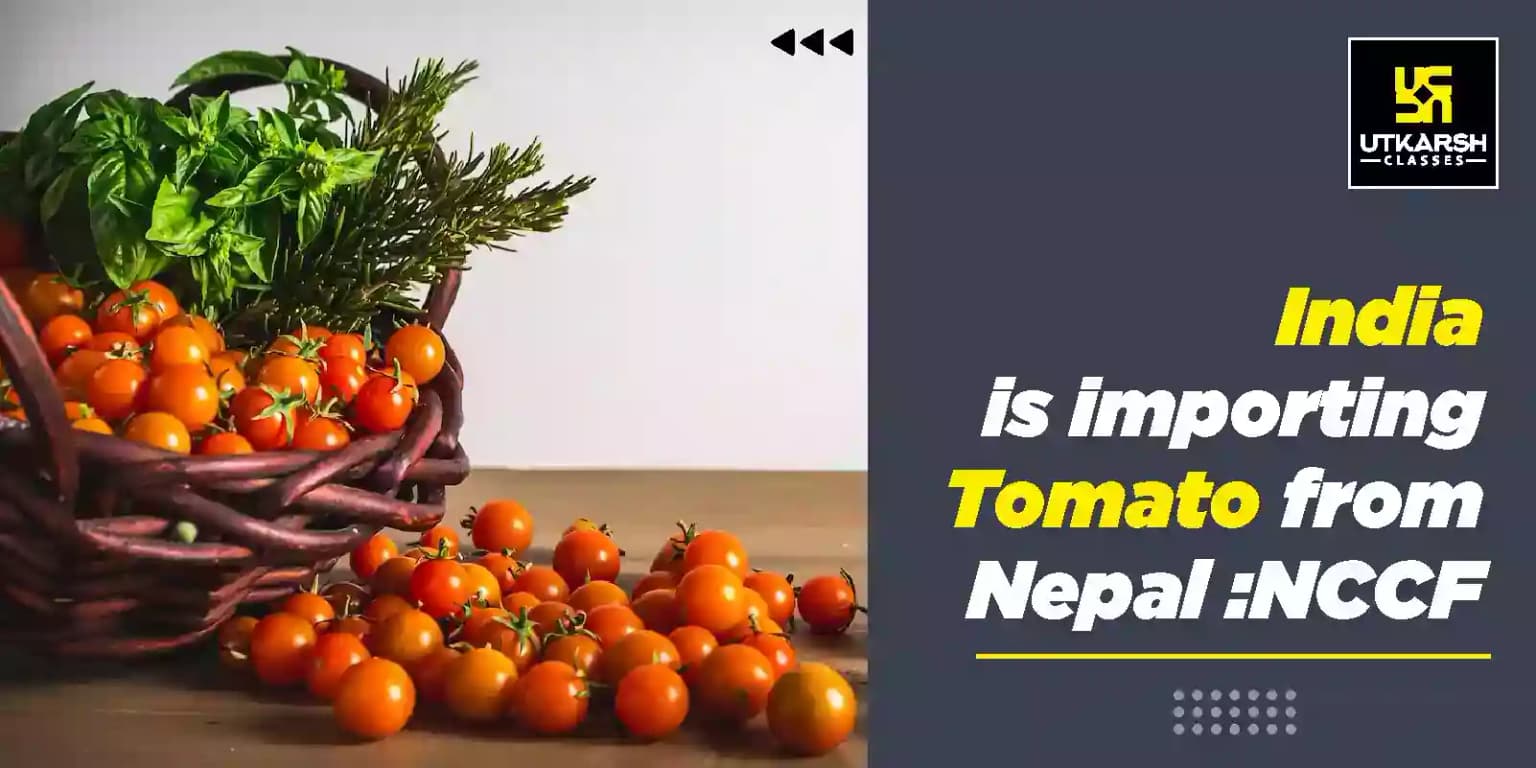 India is importing Tomato from Nepal :NCCF