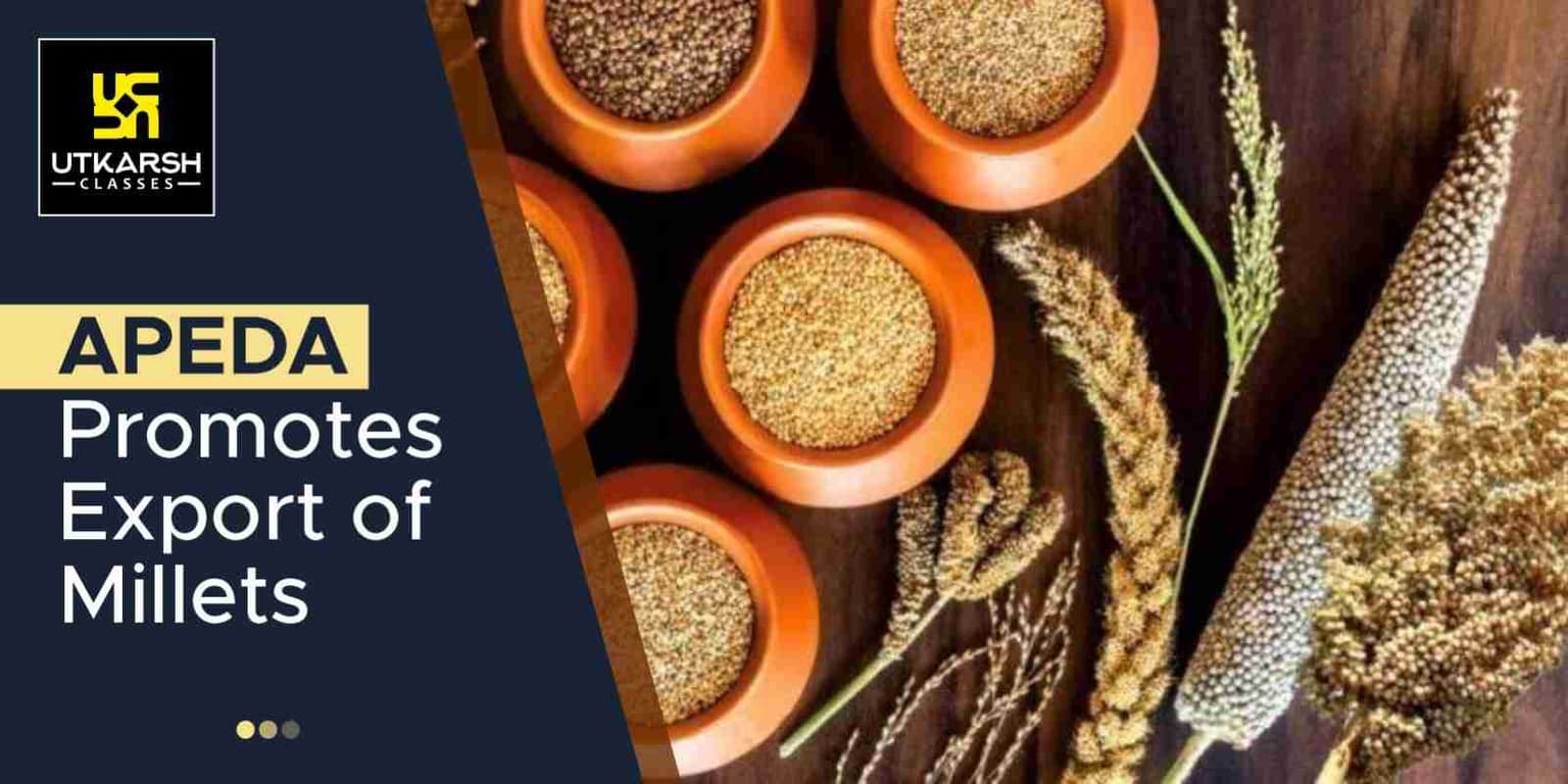 APEDA Promotes Export of Millets