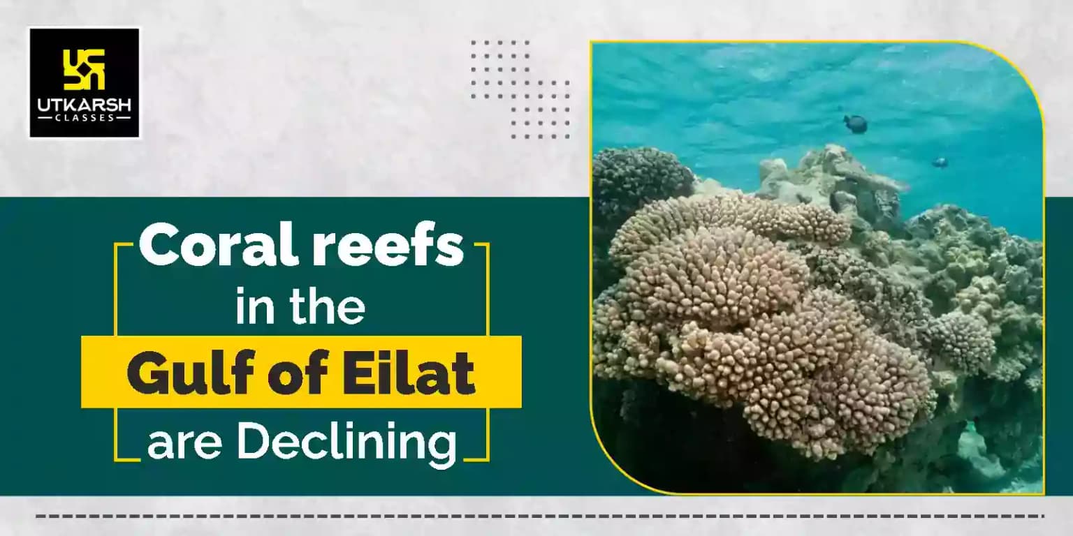 Coral reefs in the Gulf of Eilat are Declining