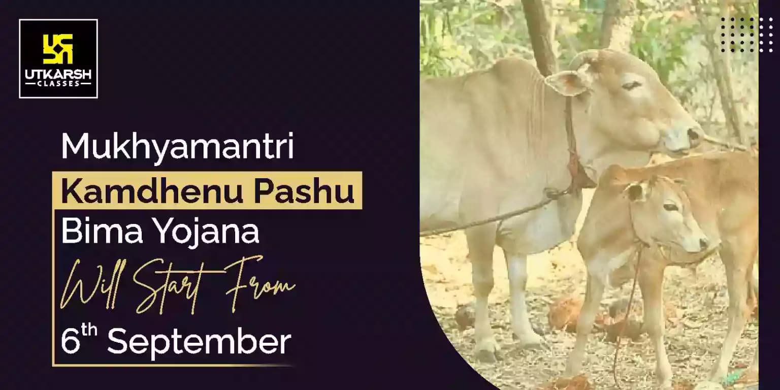 Mukhyamantri Kamdhenu Pashu Bima Yojana will Start from 6th September