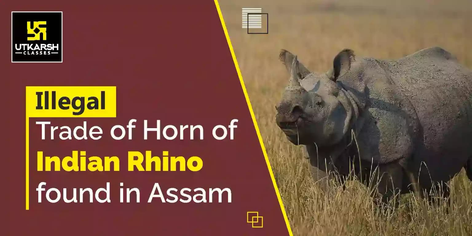 Illegal trade of Horn of Indian Rhino found in Assam