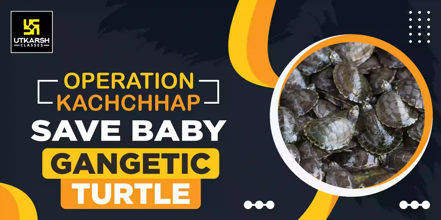 Operation Kachchhap: Save Baby Gangetic Turtles