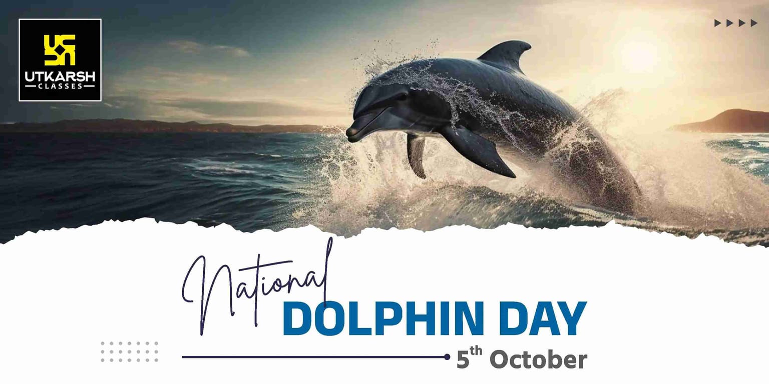 National Dolphin Day