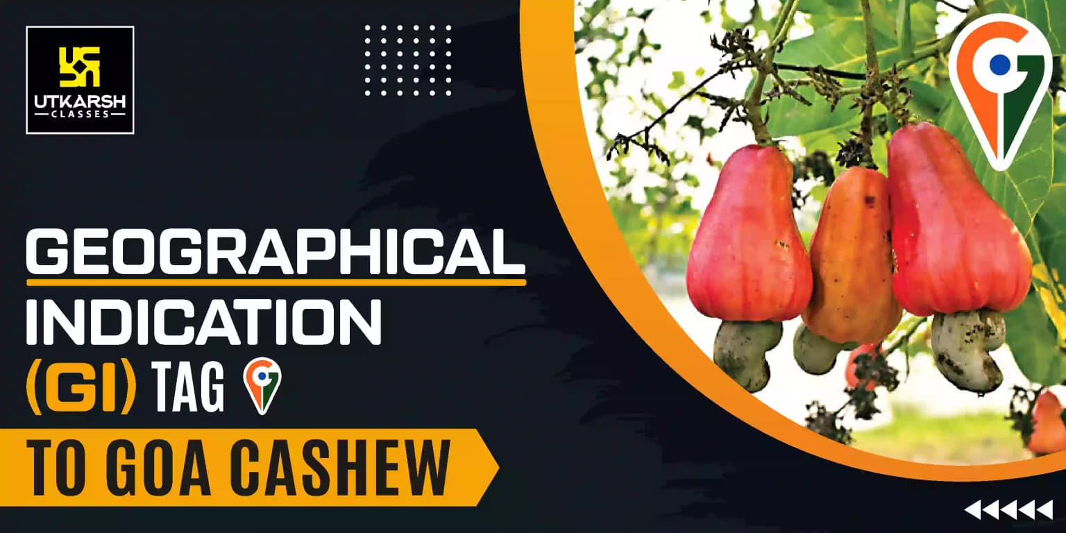 Geographical Indication (GI) Tag to Goan Cashew