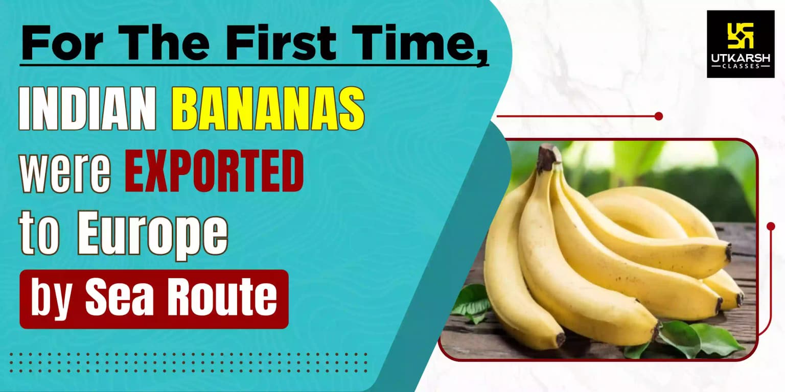 For The First Time, Indian Bananas Were Exported To Europe By Sea Route