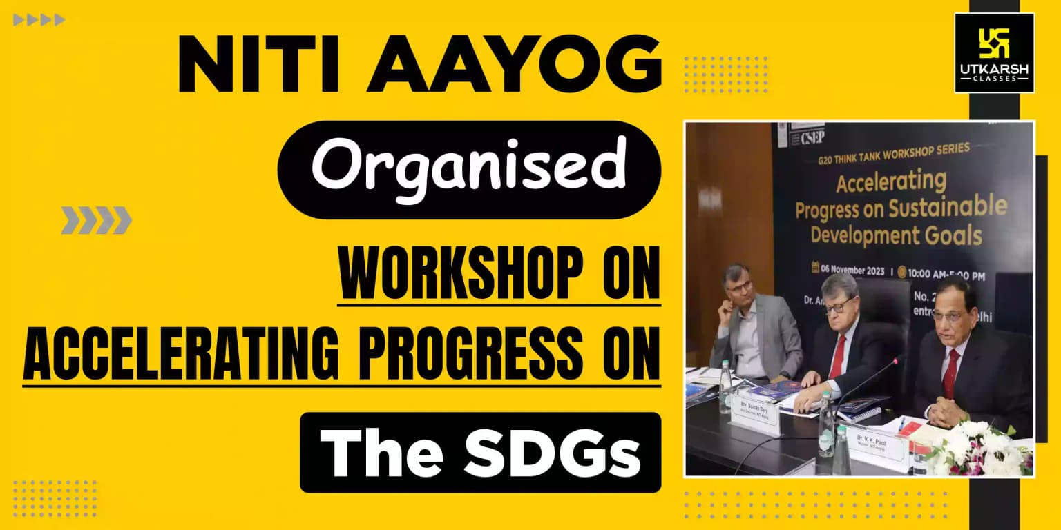 NITI Aayog organized Workshop on Accelerating Progress on the SDGs