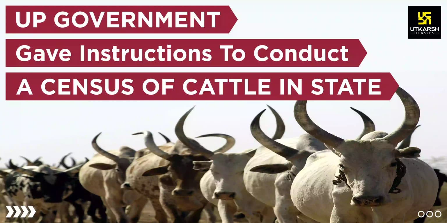 UP Government Gave Instructions To Conduct a Census of Cattle in State