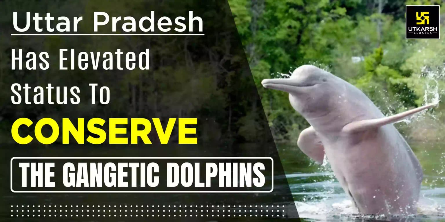 Uttar Pradesh Has Elevated Status To Conserve The Gangetic Dolphins