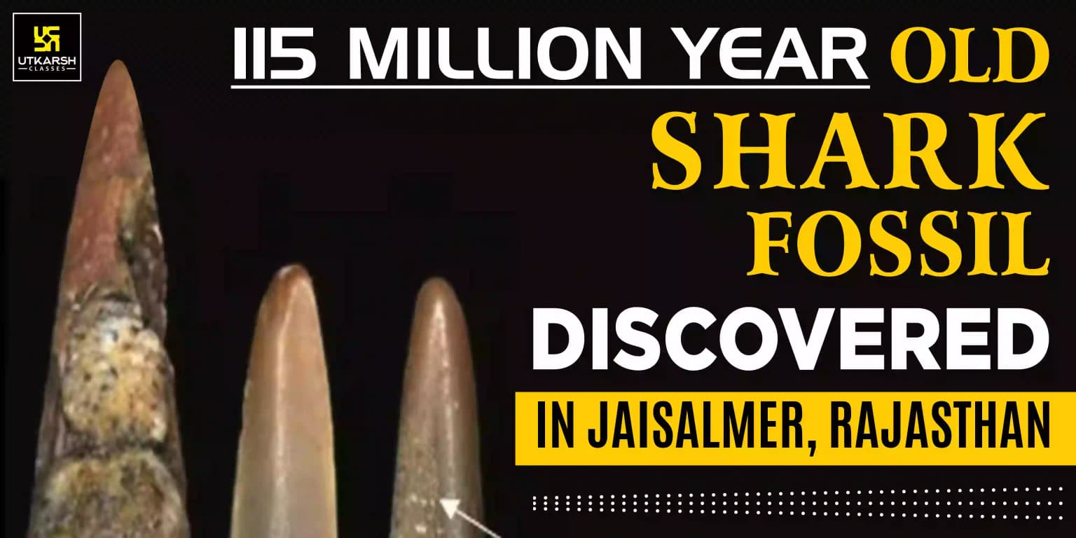 115 Million Year Old Shark Fossil Discovered In Jaisalmer, Rajasthan