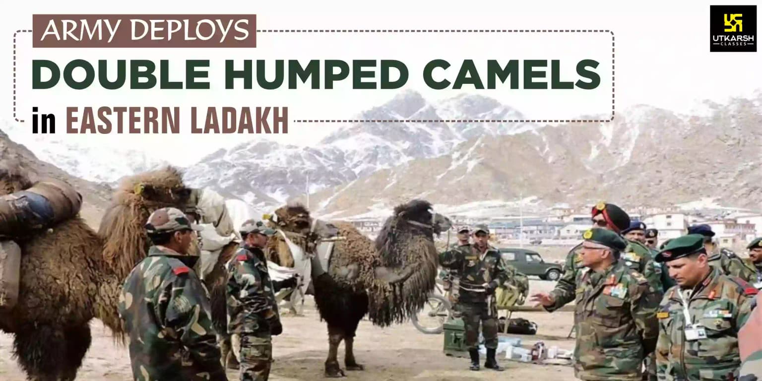 Army Deploys Double-Humped Camels In Eastern Ladakh