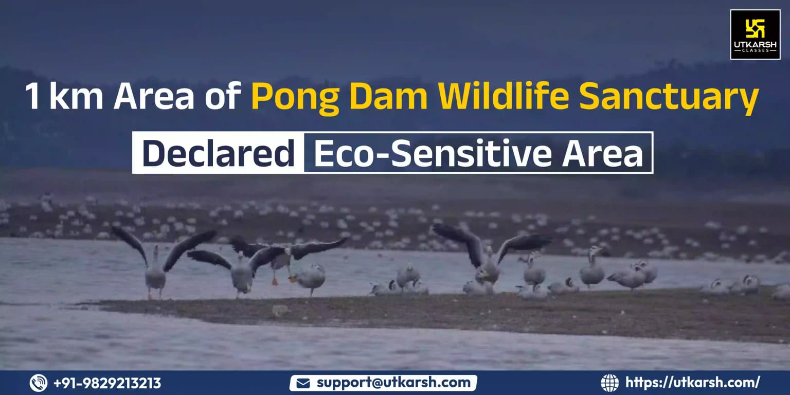 Pong Dam Wildlife Sanctuary’s One Km Area Declared Eco-Sensitive Zone