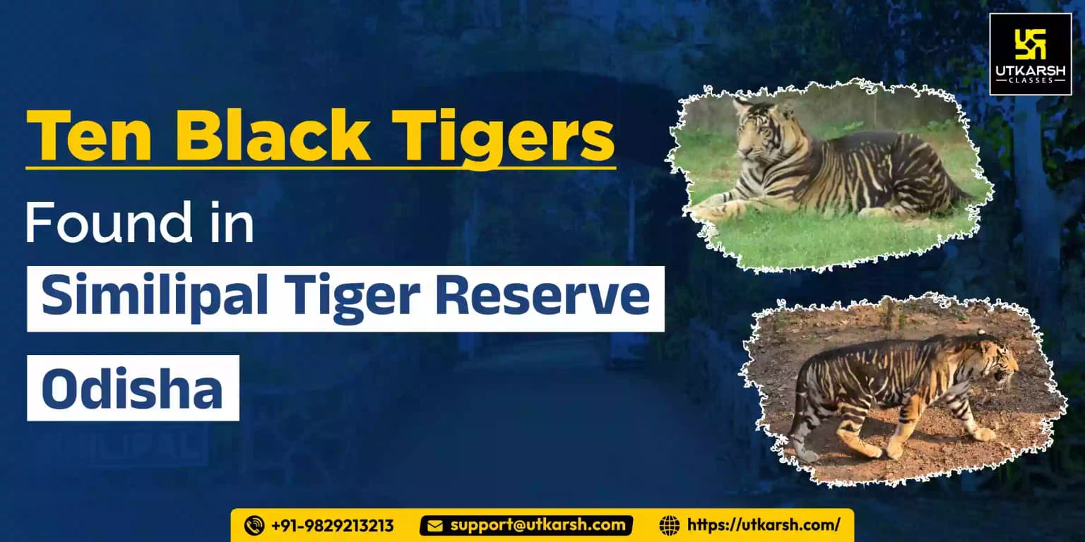 Ten Black Tigers Found In Similipal Tiger Reserve, Odisha