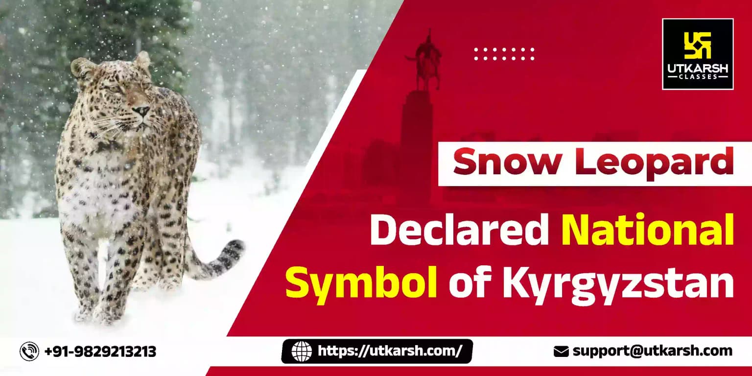 Snow Leopard: Kyrgyzstan Declared A National Symbol
