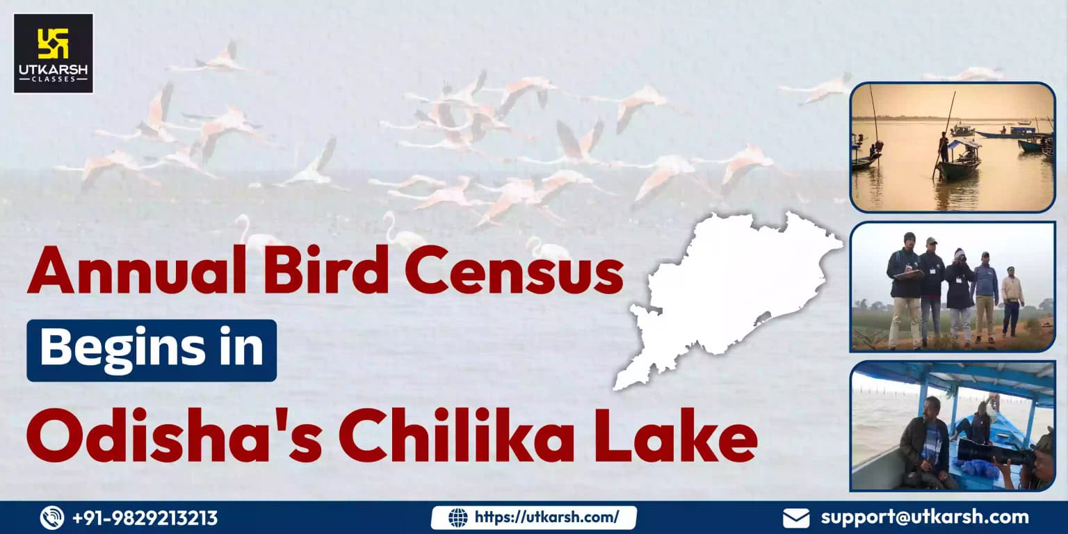 Annual Bird Census Begins in Odisha's Chilika Lake