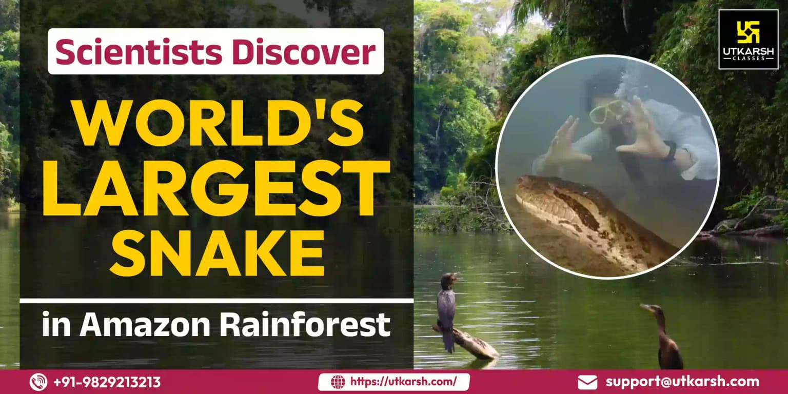 Scientists discover world's largest snake in Amazon rainforest