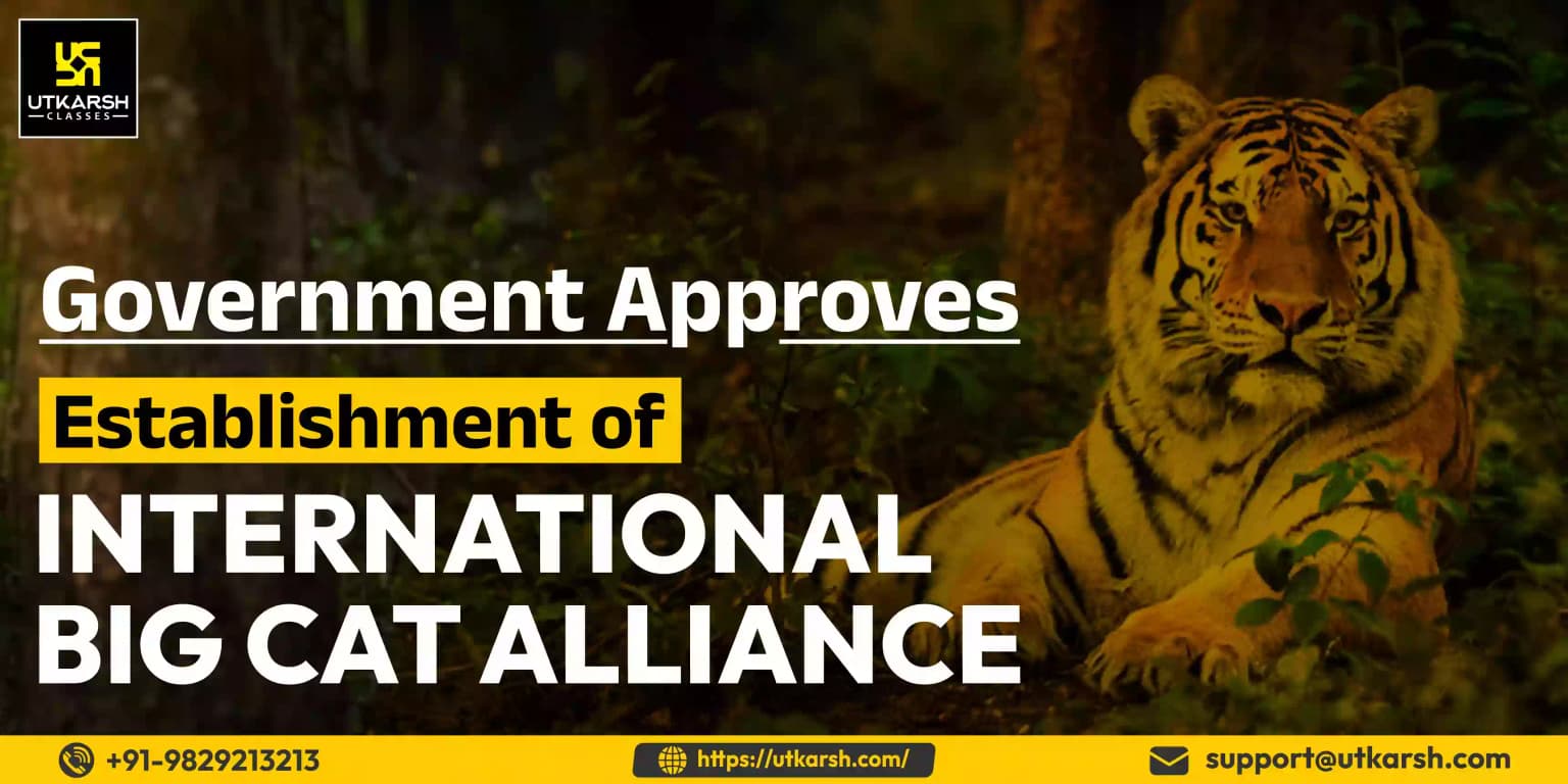 Government approves establishment of International Big Cat Alliance