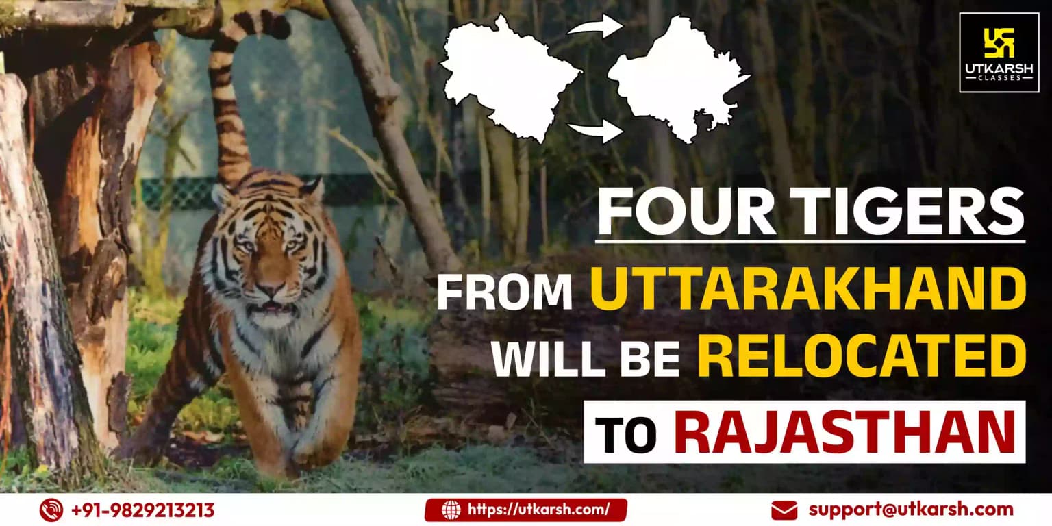 Four Tigers from Uttarakhand will be Relocated to Rajasthan