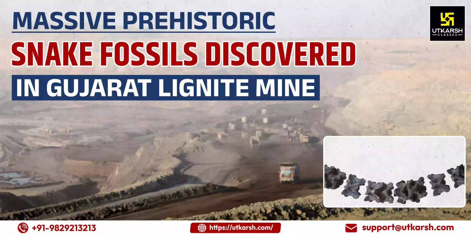 Massive prehistoric snake fossils discovered in Gujarat lignite mine