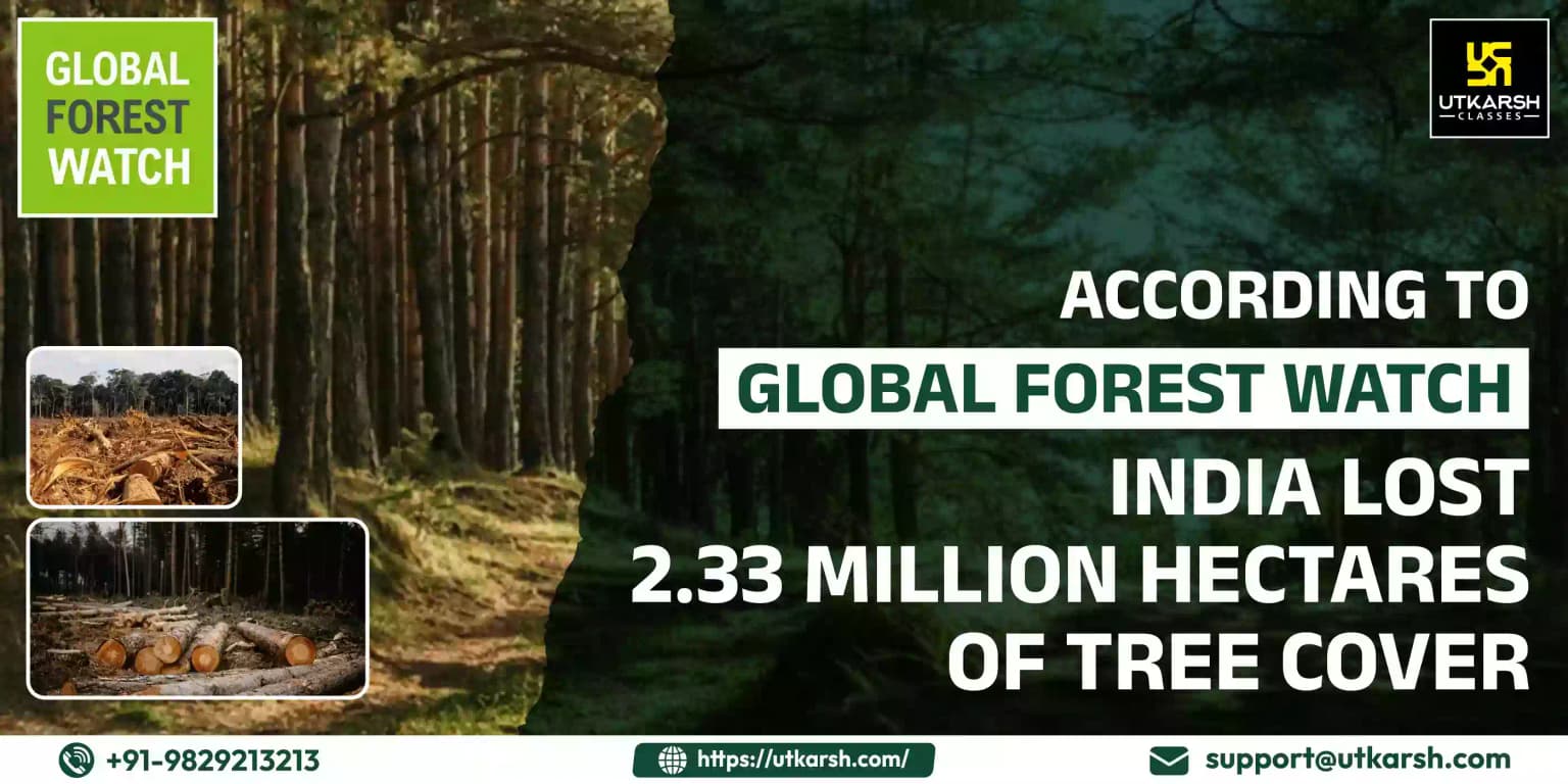 Global Forest Watch: India lost 2.33 million hectares of tree cover