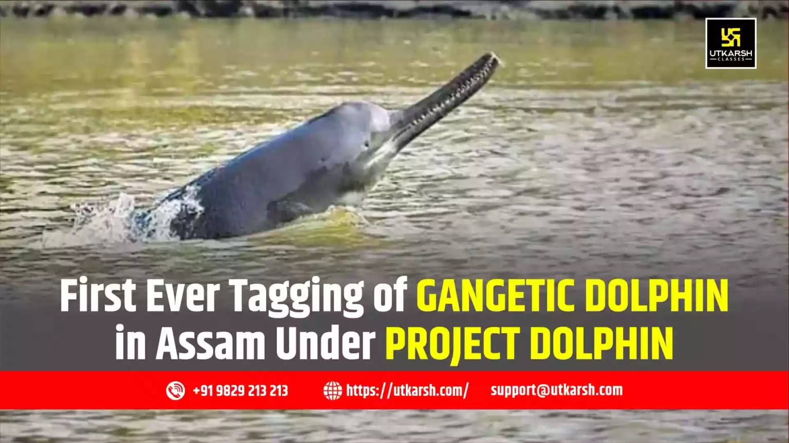 First Ever Tagging of Gangetic Dolphin in Assam Under Project Dolphin