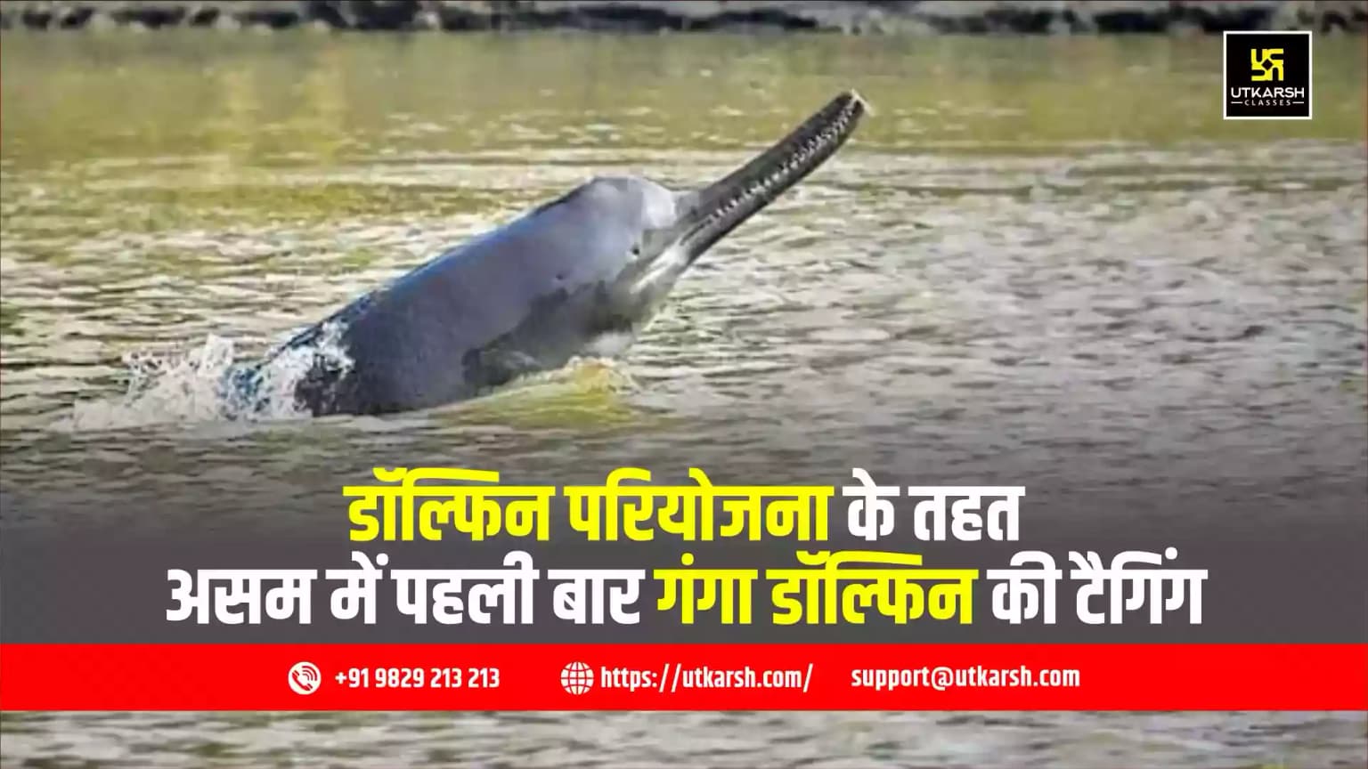डॉल्फिन परियोजना के तहत असम में पहली बार गंगा डॉल्फिन की टैगिंग