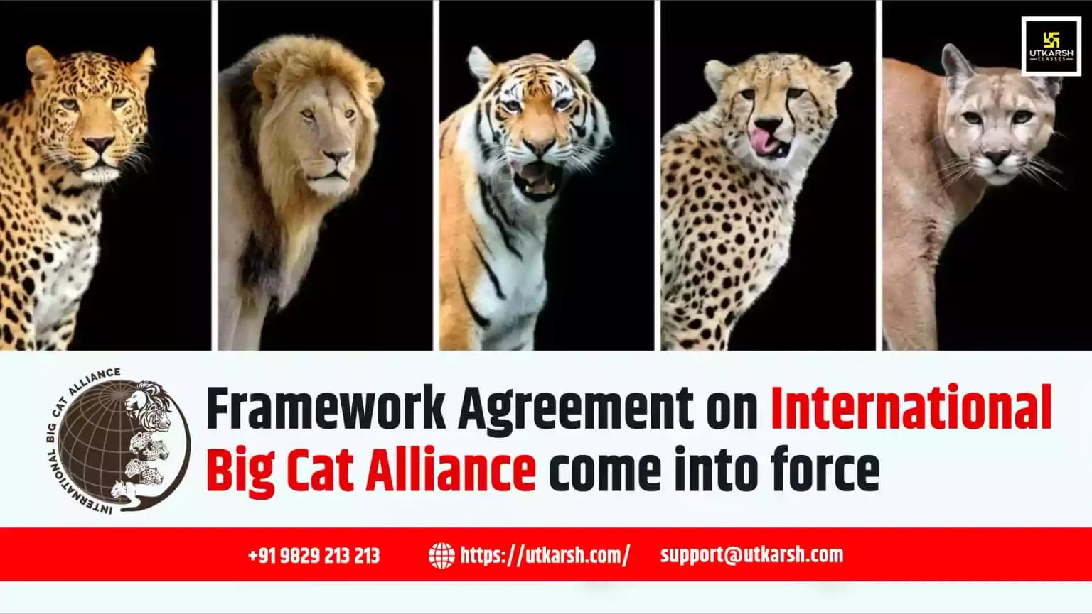 Framework Agreement on International Big Cat Alliance come into Force