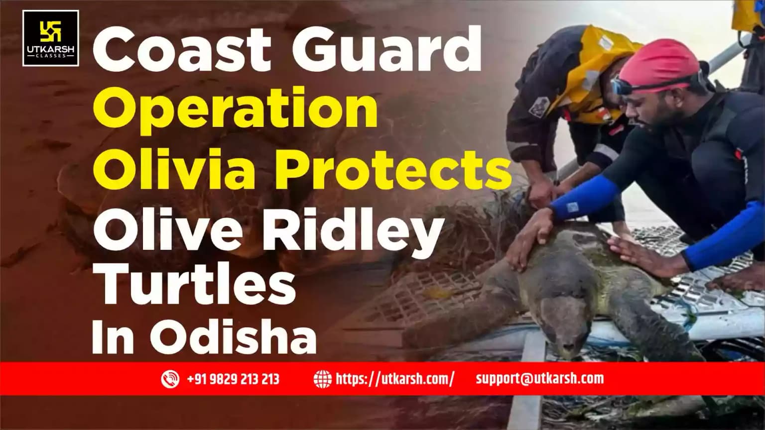 Coast Guard Operation Olivia protects Olive Ridley Turtles in Odisha